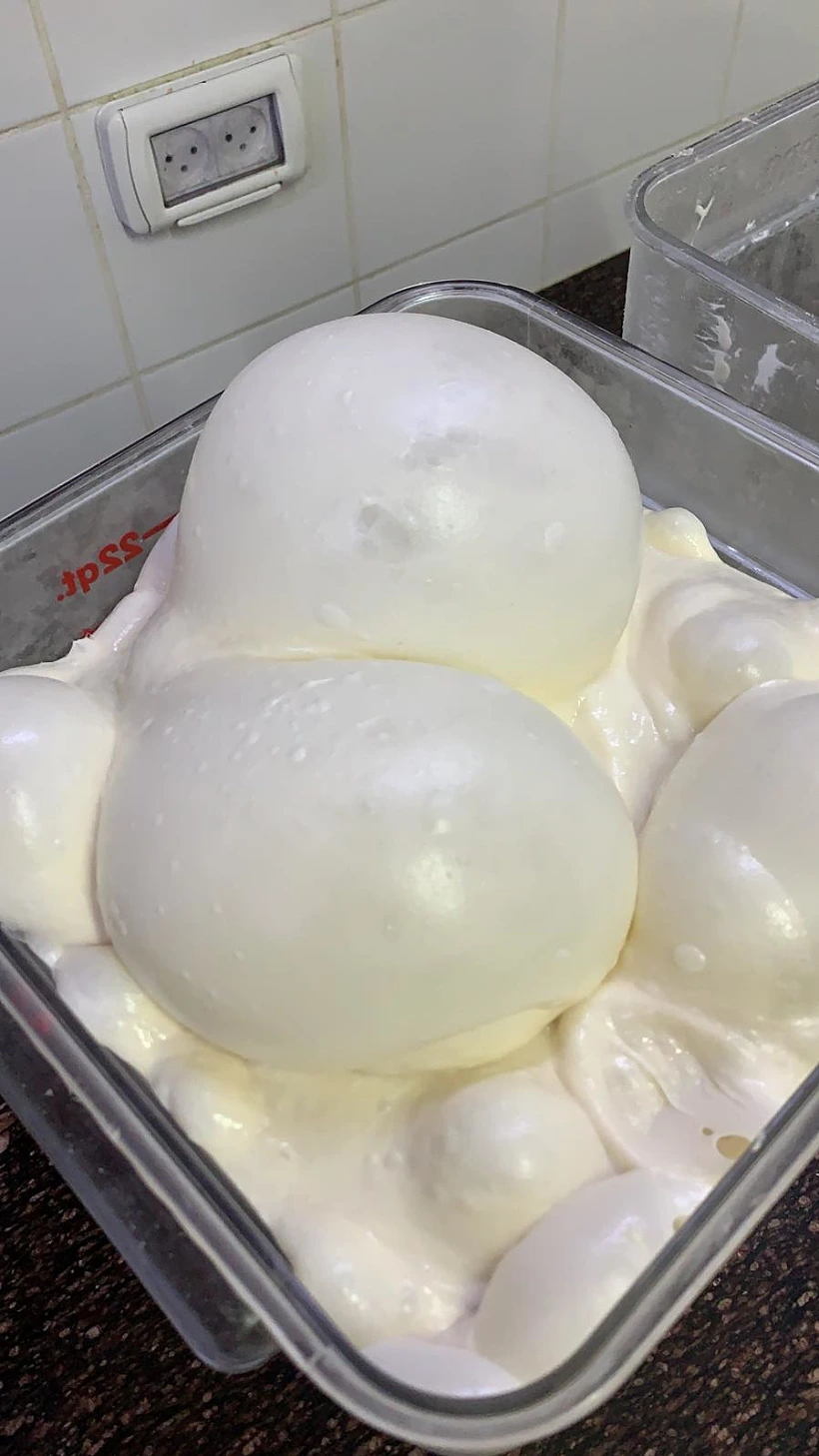 Whatsapp Image 2020 08 20 At 1