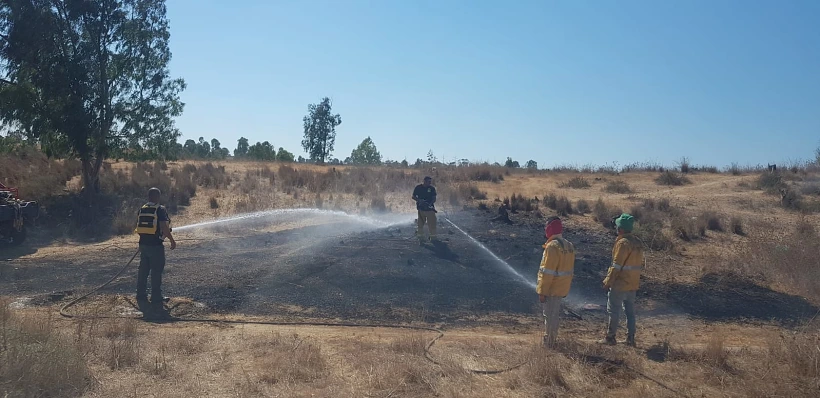 שריפה ביער בארי