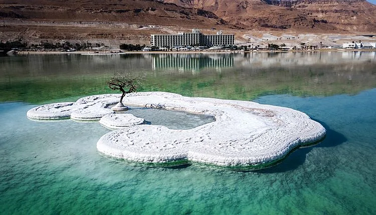 העץ הבודד, ים המלח