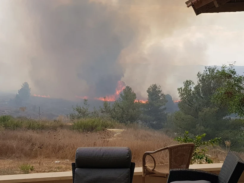 שריפה באורנים
