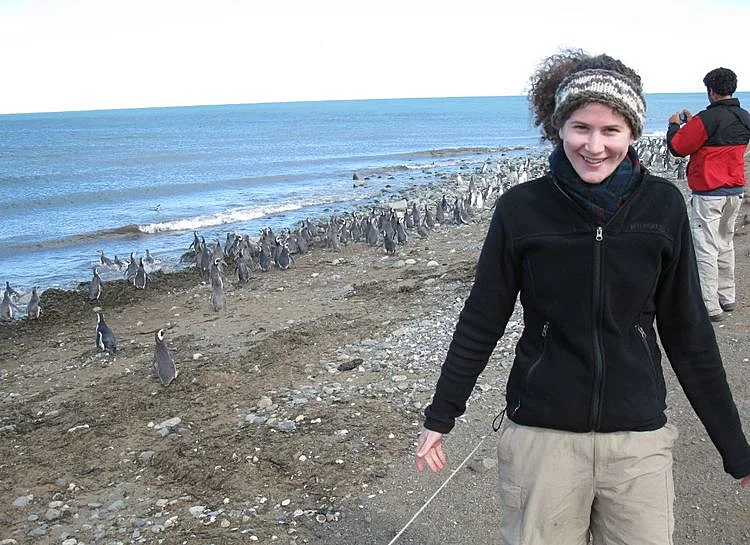 פינגווינים באי מגדלנה