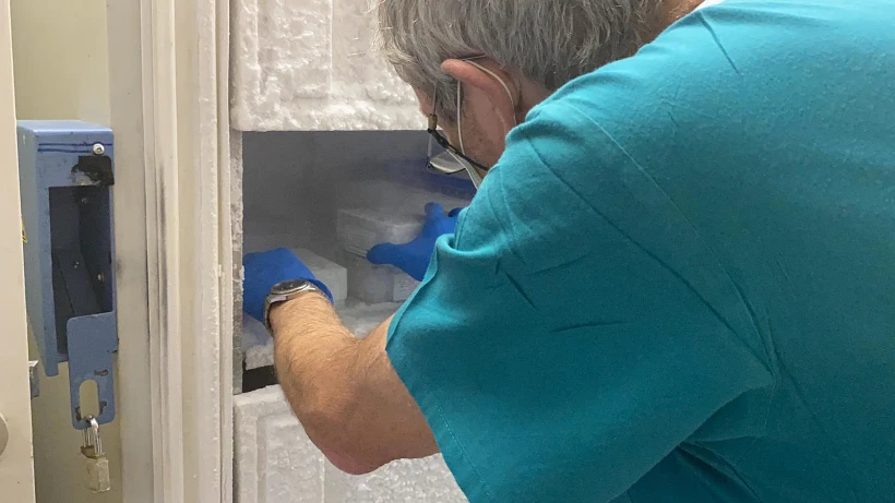 המרוץ לחיסון בבית החולים הדסה