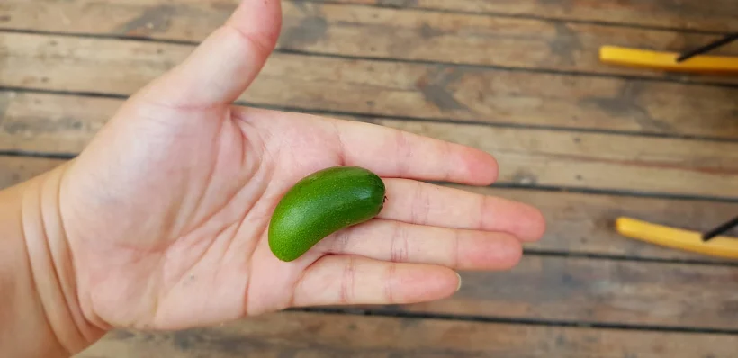 Whatsapp Image 2020 11 03 At 1