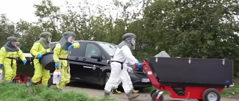 פינוי החורפנים מהחוות לצורך המתה בדנמרק