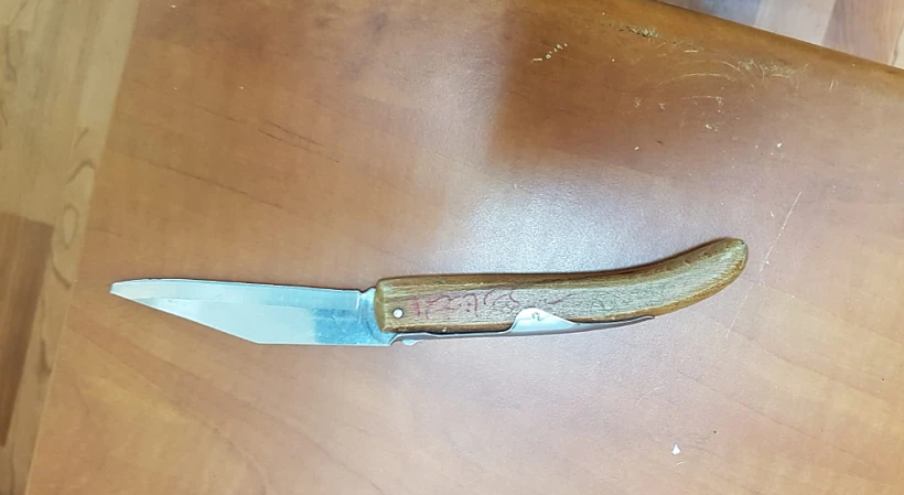 הסכין שנתפסה ברשותם של שני הנערים שנעצרו בחברון