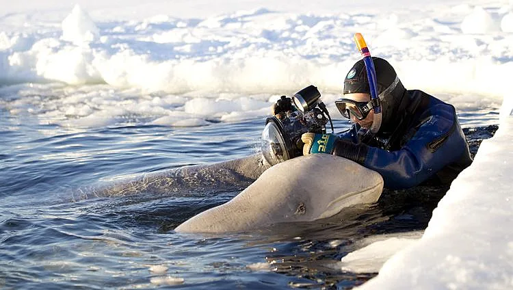 דפנה בן נון והלווינתנים