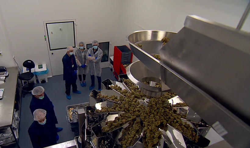 בתוך מפעל ''תיקון עולם''