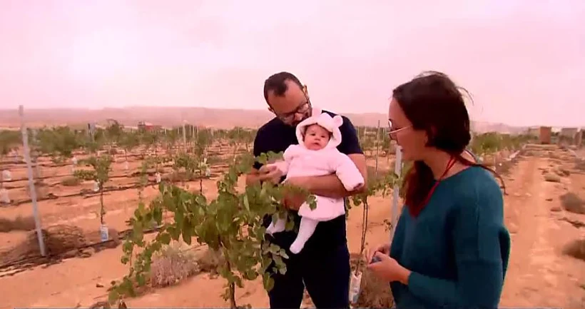 הזוגות שהעבירו את חייהם לנגב