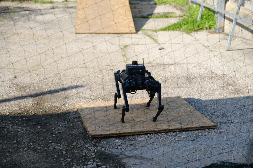 כלב רובוט במצב פעולה