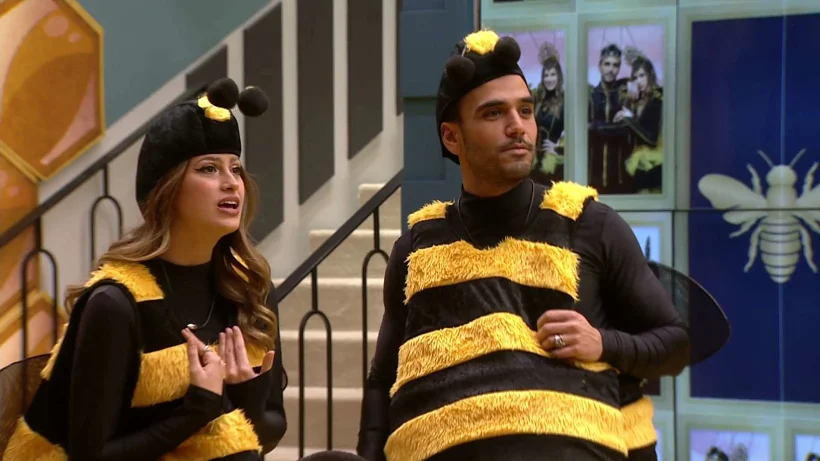 תום וגל בתחפושת הדבורים