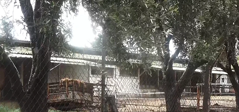 הקיבוץ שבו ע''פ החשד גבר הטריד מינית נערים