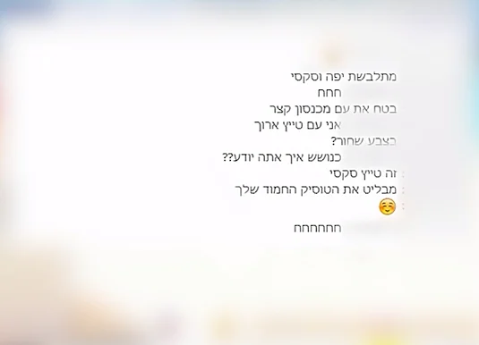 התכתבות בין סוכנת סמויה לחשוד בפדופיליה