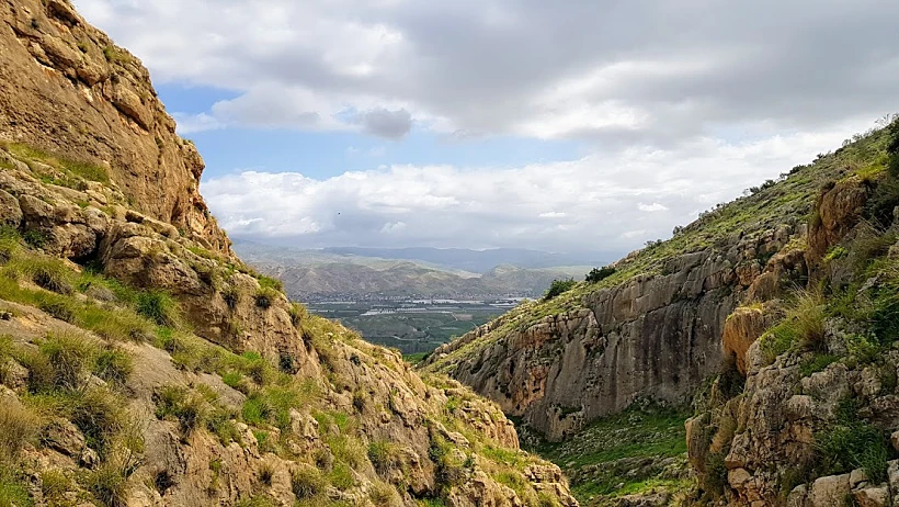 תלכיד פיראן