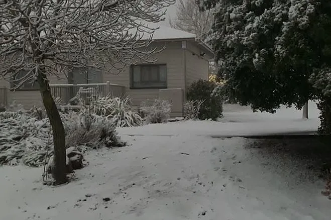 שלג בעין זיוון