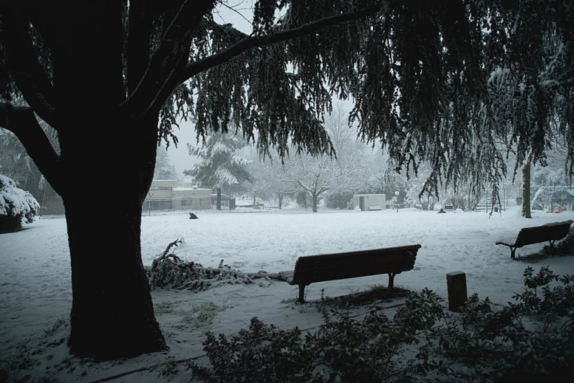 שלג במרום גולן