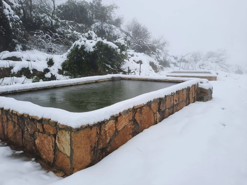 שלג בגוש עציון