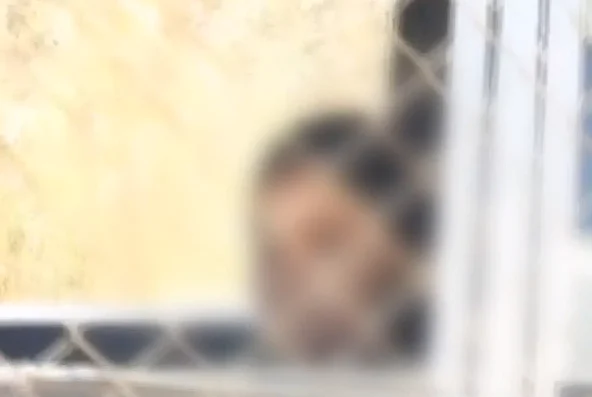 הצעירה הישראלית שחצתה לסוריה ושוחררה