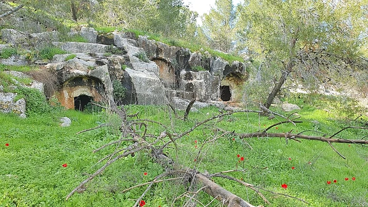 154544655 716097565684770 8382