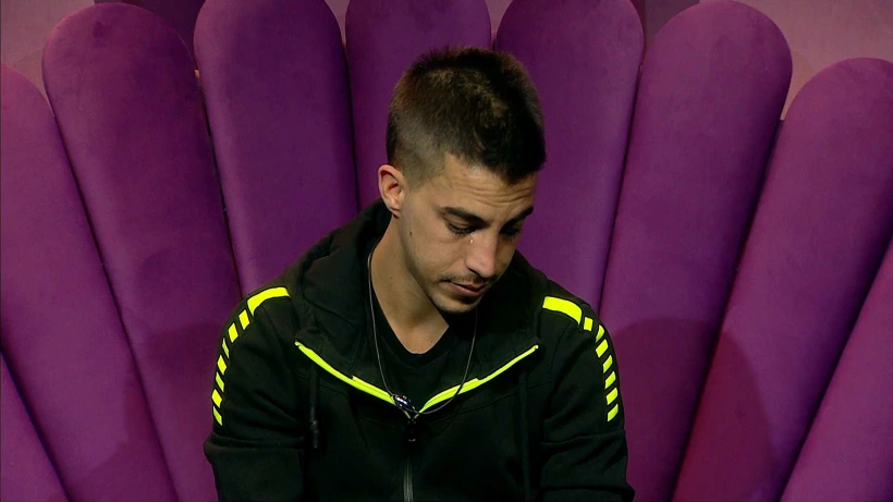 אורן בחדר האח