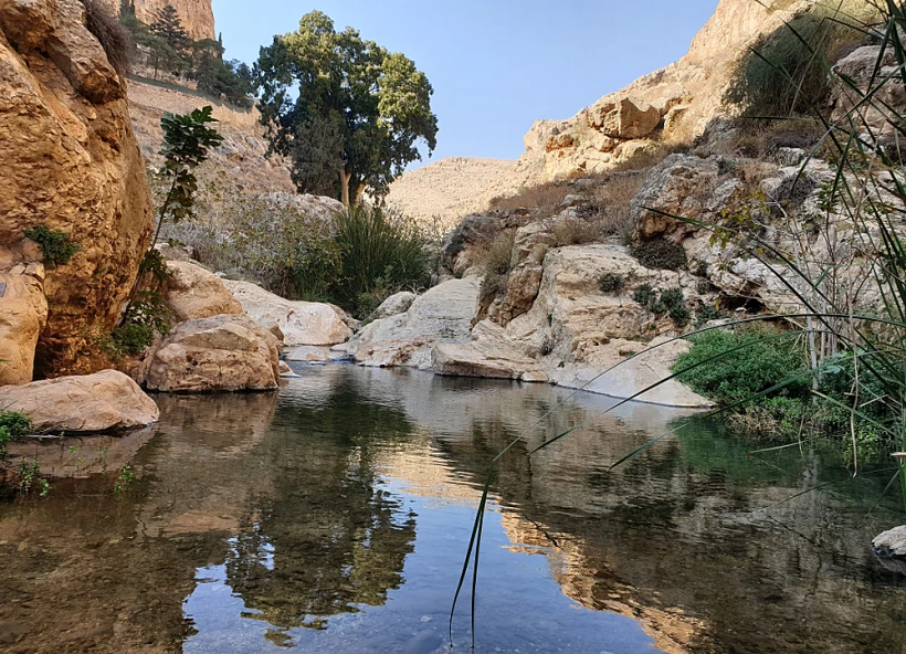 Ein,prat,nature,reserve,in,winter,,israel
