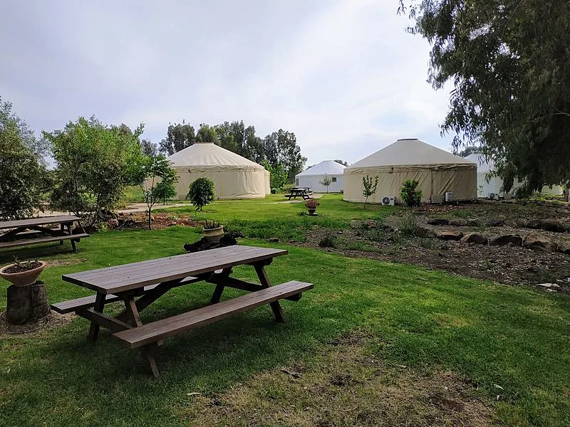 Whatsapp Image 2021 03 08 At 1