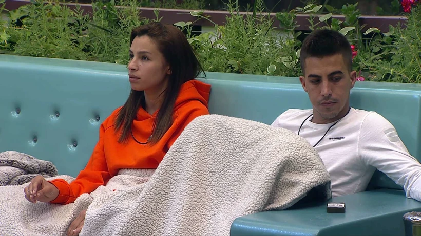 אורן ואלמוג במתח