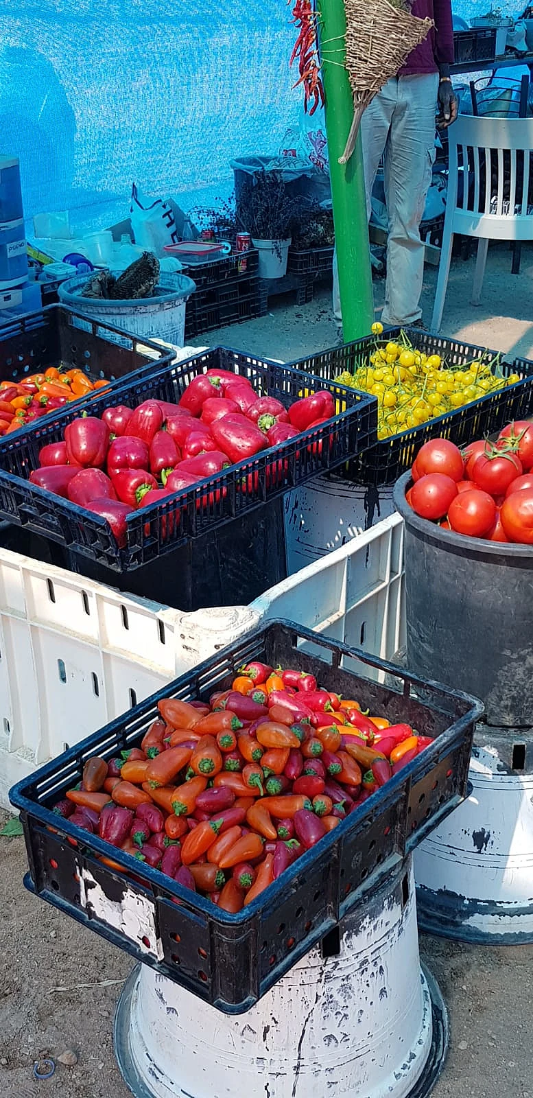 Whatsapp Image 2021 03 17 At 1