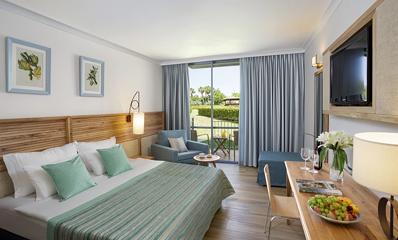 Dlx Room2