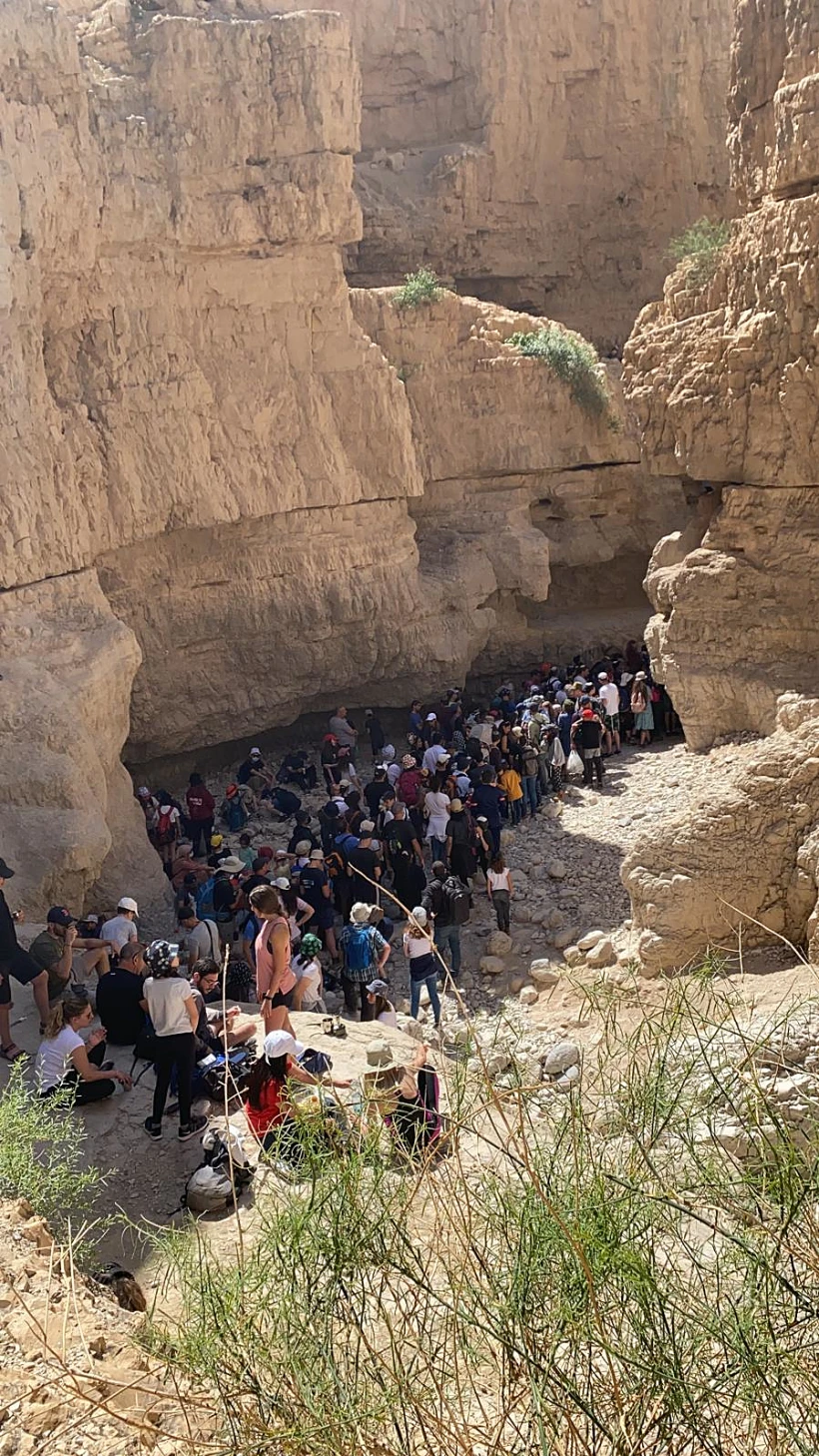 מטיילים בנחל אוג