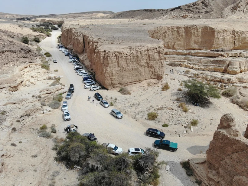 מטיילים בנחל מסור