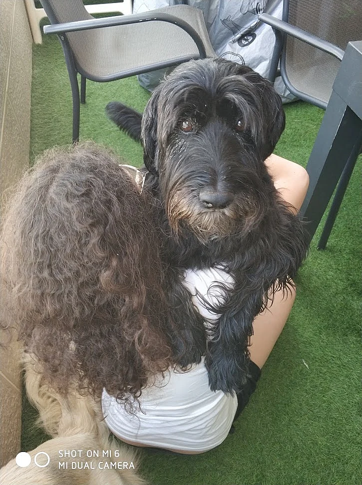 Whatsapp Image 2021 04 22 At 1