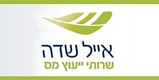 אייל שדה - שירותי ייעוץ מס