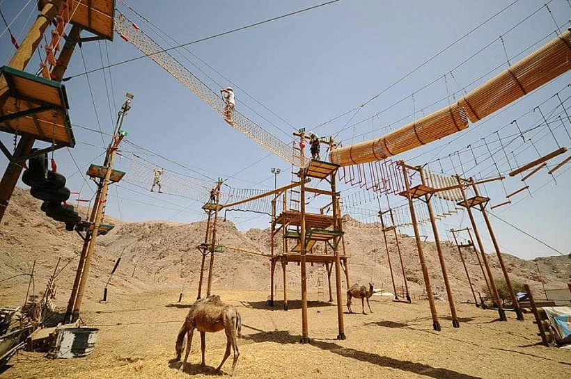 110278083 1617662651760891 466