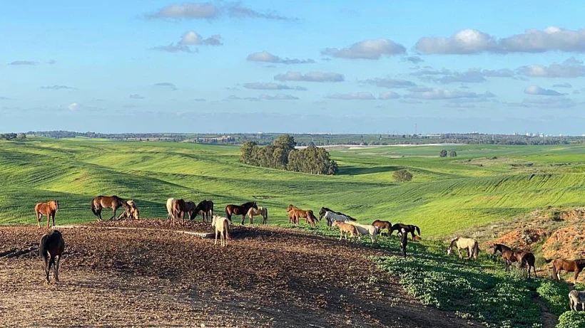 2d7112cd8241e3508967dc548f50da