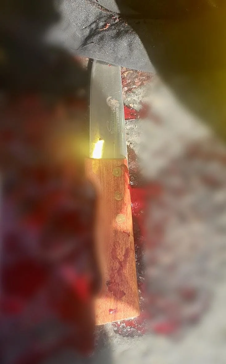 סכין, מחבלת, קלנדיה