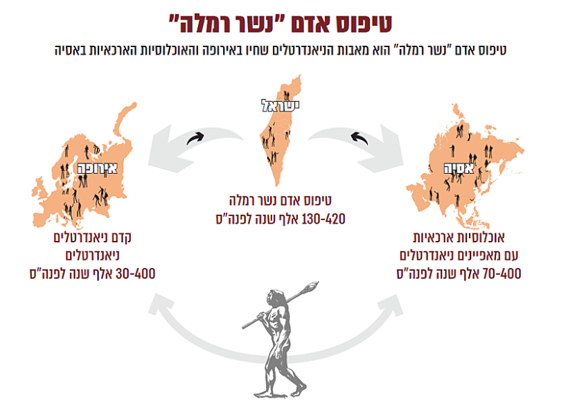 חוקרים ישראלים גילו באזור רמלה מין של אדם קדום שלא היה מוכר למדע עד כה