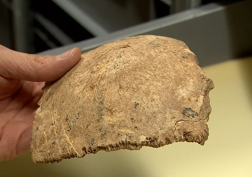 חוקרים ישראלים גילו באזור רמלה מין של אדם קדום שלא היה מוכר למדע עד כה