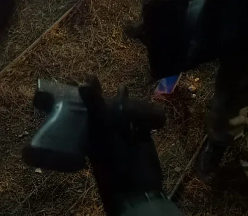 נשק, אקדח, גלוק