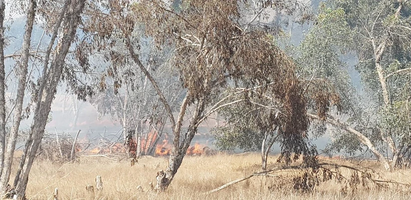 שריפה במועצה האזורית אשכול