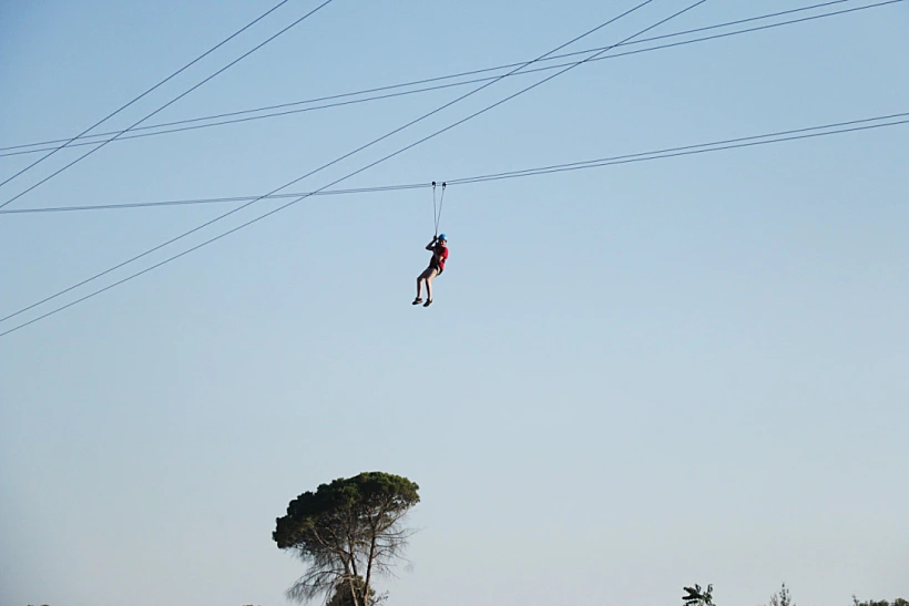 Thumb Img 3753 1024 Copy