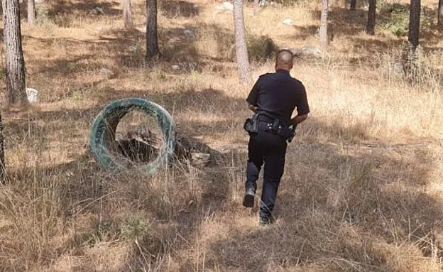 האזור בו נמצאה גופת האישה שעל פי החשד נרצחה על ידי בניה