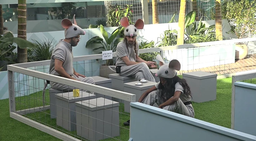 גקו ואורן רבים על התעללות בבעלי חיים