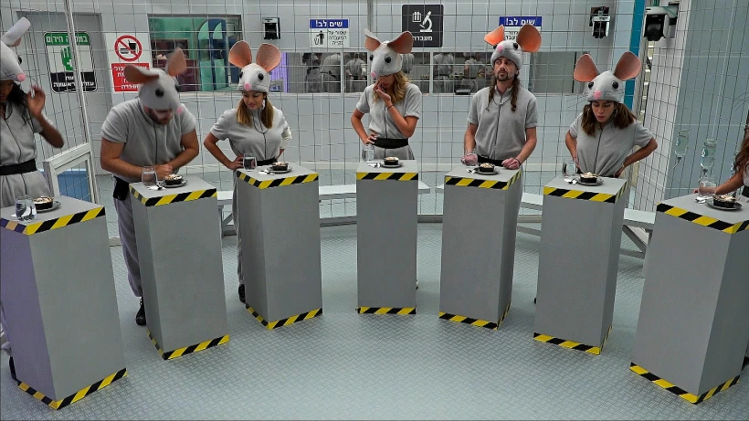 משימת העכברים