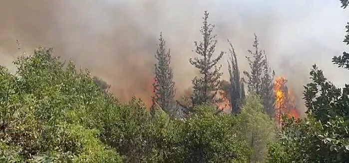 שריפה בהרי ירושלים