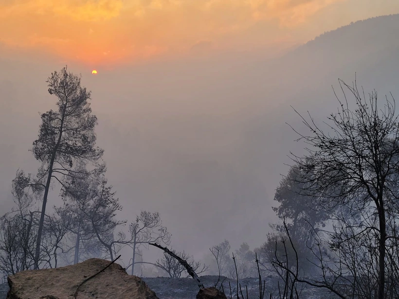 שריפה הרי ירושלים