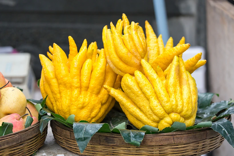 Buddha's,hand,fruit,,fingered,citron,fruit,,citrus,medica,in,street