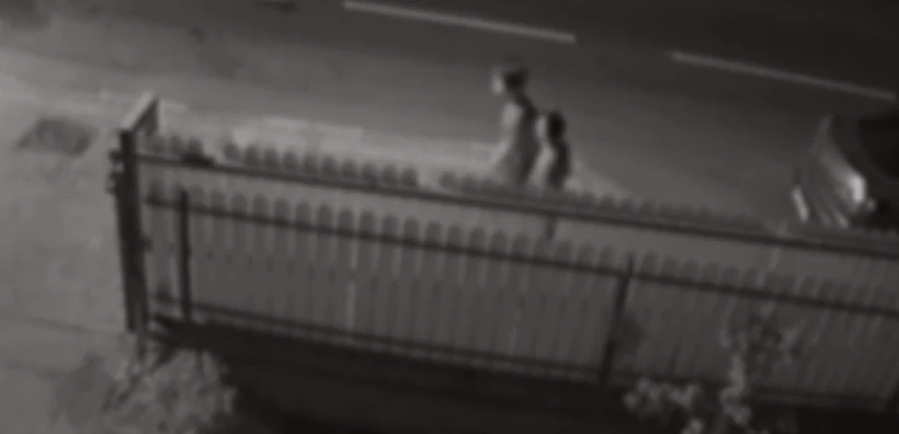 נער מואשם ברצח רצח נתניה עבריין מין חיים ויזמן