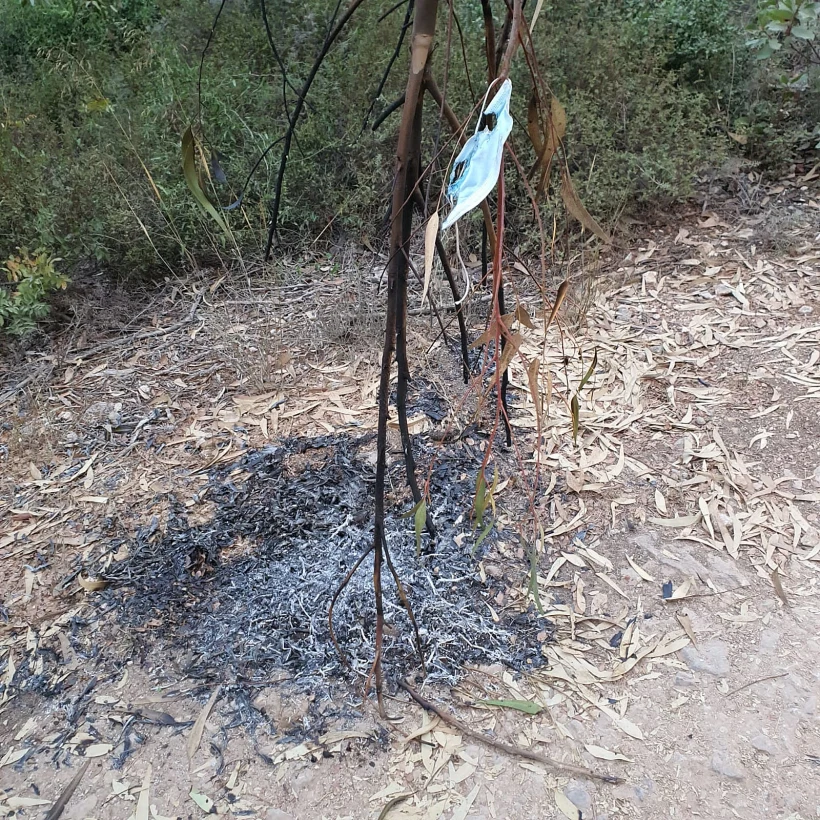 מוקד הצתה שלא התפשטה באזור