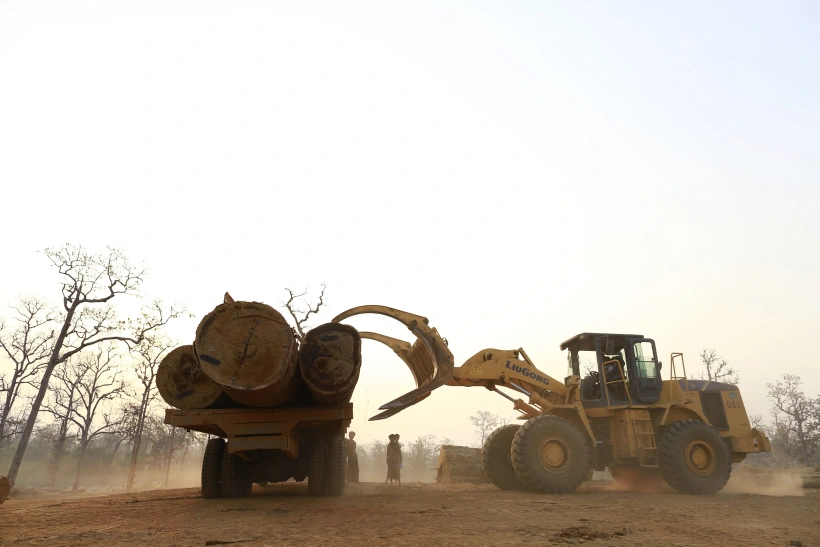 Teak Logs Are Loaded Onto A Lorry At A Logging Camp In Pinlebu Township