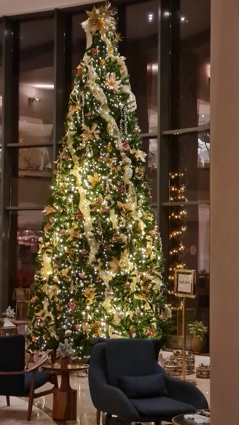 20211202 190356 Resized